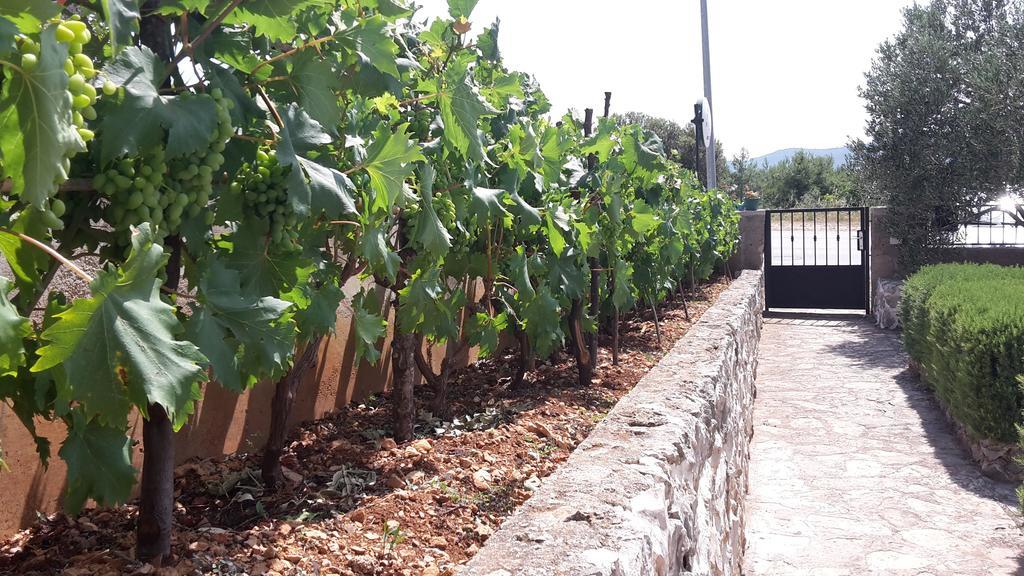 שיבניק Amadrian Apartments מראה חיצוני תמונה