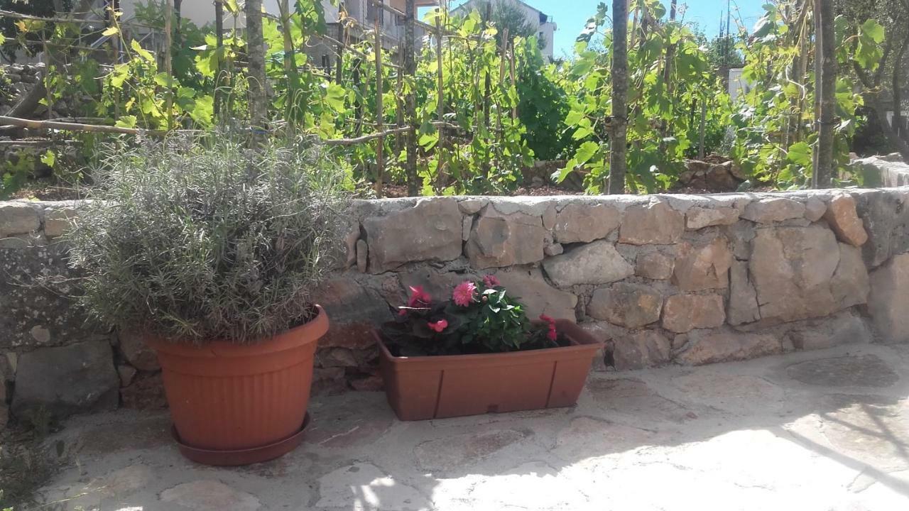 שיבניק Amadrian Apartments מראה חיצוני תמונה